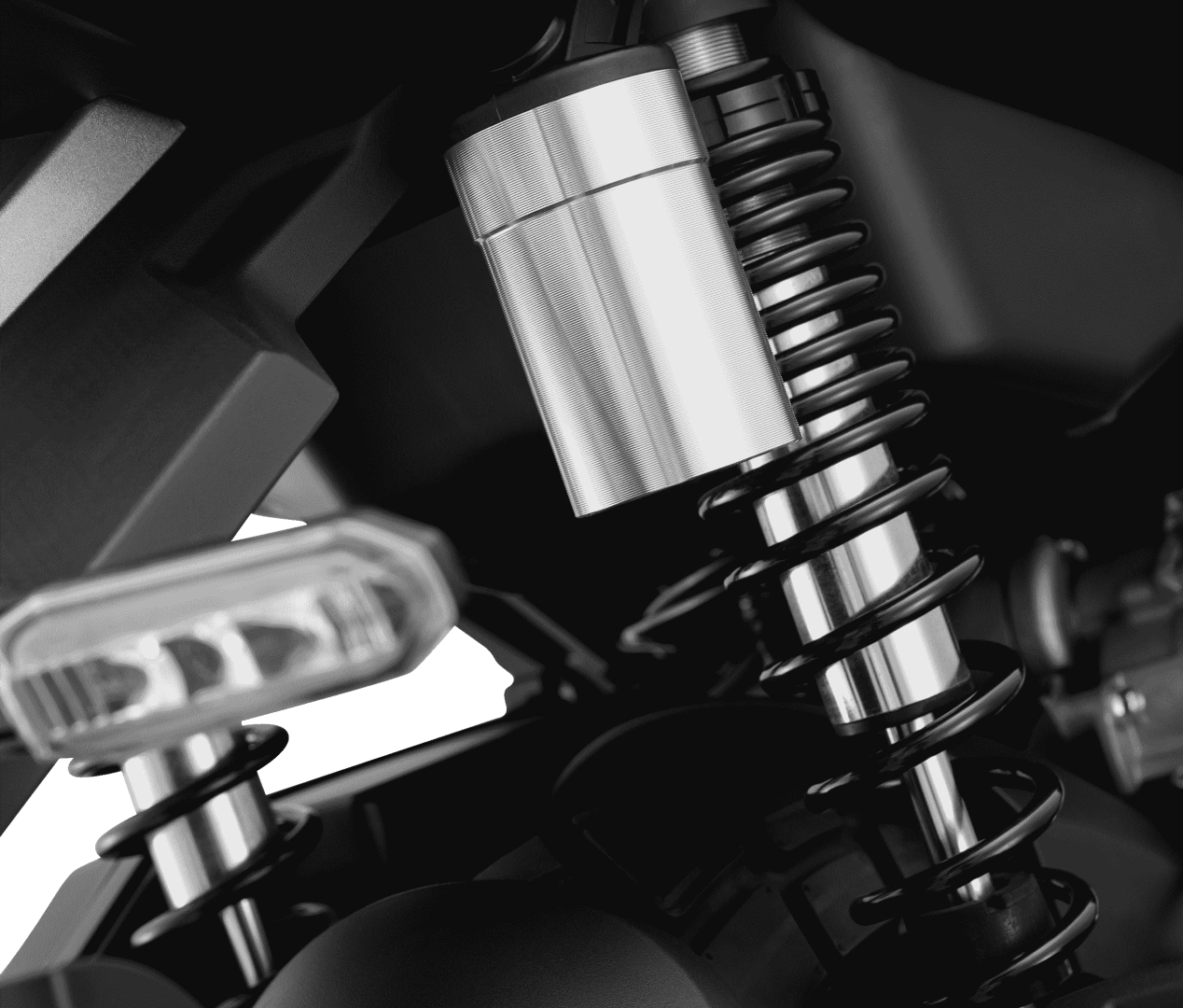 Amortiguadores traseros lujosos